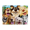 3d honden lachen