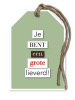 bronze19