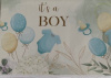 budget kaart its a boy ballonnen en rompertje
