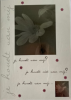 cartesse jij houdt van mij