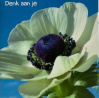ellen denk aan je