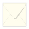 envelop_2010014987