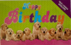 geldenvelop golden retreivers puppies