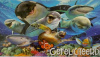 geldenvelop waterdieren