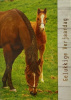 kinderkaart paard met veulen