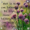 magneet leuk om belangrijk