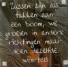 magneet zussen zijn als takken