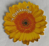 minikaartje zonnebloem n opkikkertje
