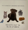 overlijden huisdier postkaart
