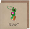 sidedish bedankt cactus bloem