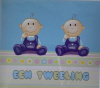 tweeling 2 jongens boxpakje kaart 1812688253