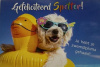 zwemdiploma_spetter