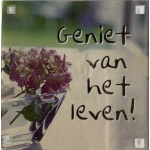 magneet_geniet_van_het_leven
