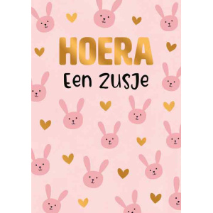 artige_hoera_een_zusje