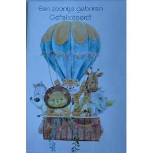 budget_kaart_geboorte_jongen_luchtballon