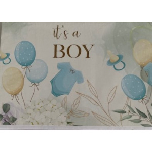 budget_kaart_its_a_boy_ballonnen_en_rompertje