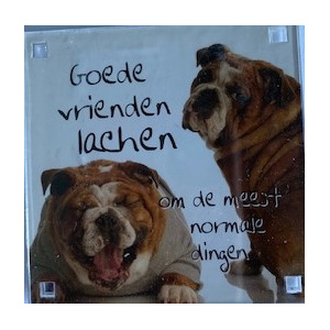 magneet_goede_vrienden_lachen