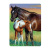 3d_paard_met_veulen