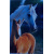 budget_kaart_wit_paard_met_bruin_veulen